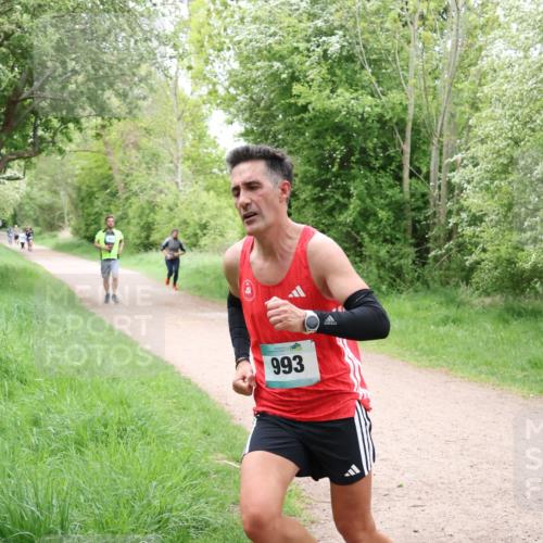 04.05.2025 - 8. Wedeler Halbmarathon Lena Gebhardt http://msf.ph/oto/7831498 04.05.2025 11:18:06 Laufen 993 meine-sportfotos.de