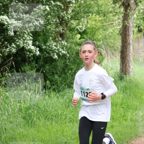 04.05.2025 - 8. Wedeler Halbmarathon Lena Gebhardt http://msf.ph/oto/7831594 04.05.2025 11:18:23 Laufen 1123 meine-sportfotos.de