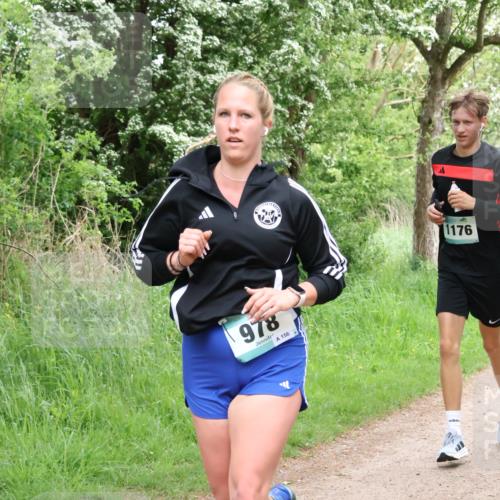 04.05.2025 - 8. Wedeler Halbmarathon Lena Gebhardt http://msf.ph/oto/7831613 04.05.2025 11:18:25 Laufen 978, 156, 1176 meine-sportfotos.de