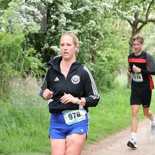 04.05.2025 - 8. Wedeler Halbmarathon Lena Gebhardt http://msf.ph/oto/7831617 04.05.2025 11:18:25 Laufen 978, 156, 1176 meine-sportfotos.de