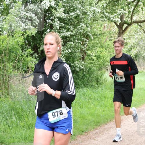 04.05.2025 - 8. Wedeler Halbmarathon Lena Gebhardt http://msf.ph/oto/7831618 04.05.2025 11:18:25 Laufen 978, 156, 1176 meine-sportfotos.de