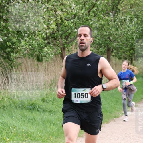 04.05.2025 - 8. Wedeler Halbmarathon Lena Gebhardt http://msf.ph/oto/7831705 04.05.2025 11:18:37 Laufen 1050, 151, 11 meine-sportfotos.de