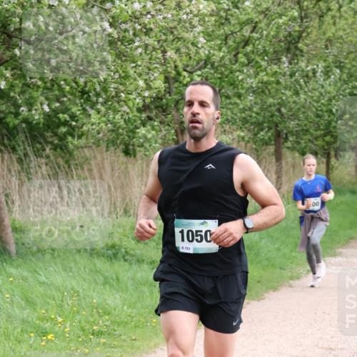 04.05.2025 - 8. Wedeler Halbmarathon Lena Gebhardt http://msf.ph/oto/7831711 04.05.2025 11:18:37 Laufen 1050, 151, 00 meine-sportfotos.de