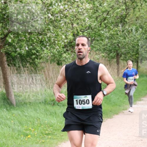 04.05.2025 - 8. Wedeler Halbmarathon Lena Gebhardt http://msf.ph/oto/7831716 04.05.2025 11:18:37 Laufen 1050, 151, 1100 meine-sportfotos.de