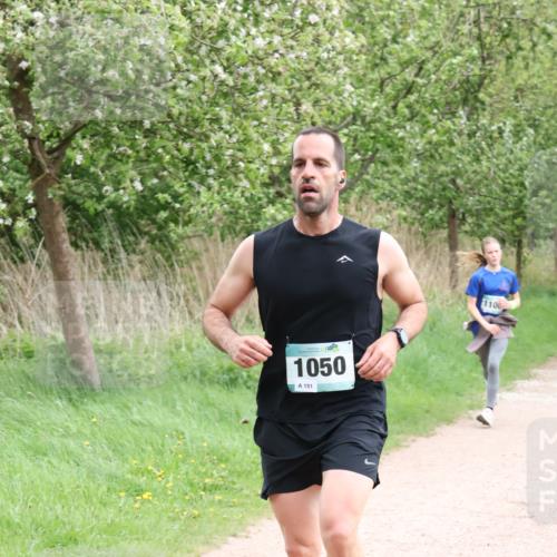04.05.2025 - 8. Wedeler Halbmarathon Lena Gebhardt http://msf.ph/oto/7831719 04.05.2025 11:18:37 Laufen 1050, 151, 110 meine-sportfotos.de