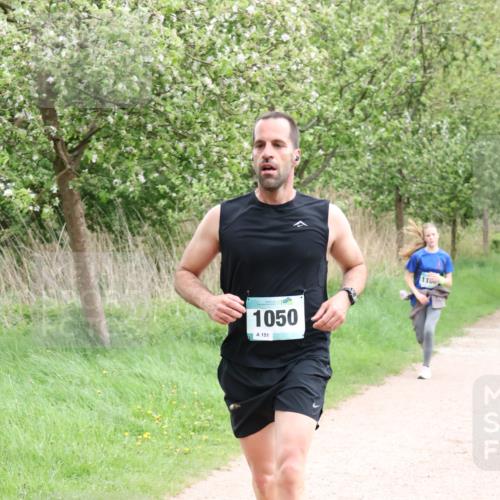 04.05.2025 - 8. Wedeler Halbmarathon Lena Gebhardt http://msf.ph/oto/7831721 04.05.2025 11:18:37 Laufen 1050, 151, 1160 meine-sportfotos.de