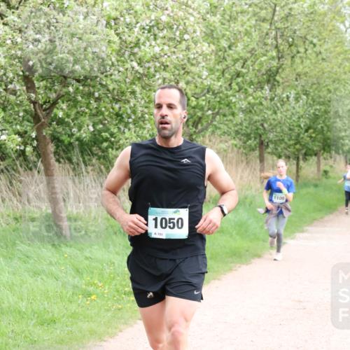 04.05.2025 - 8. Wedeler Halbmarathon Lena Gebhardt http://msf.ph/oto/7831724 04.05.2025 11:18:37 Laufen 1050, 151, 1100 meine-sportfotos.de