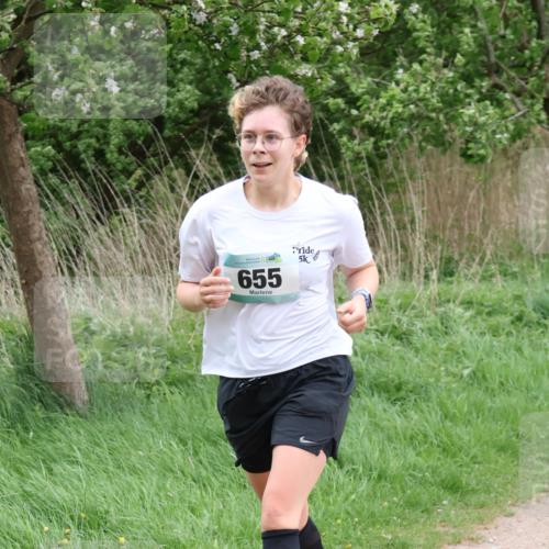 04.05.2025 - 8. Wedeler Halbmarathon Lena Gebhardt http://msf.ph/oto/7831768 04.05.2025 11:18:42 Laufen 50, 655, 5 meine-sportfotos.de