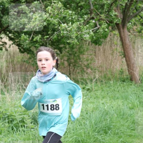 04.05.2025 - 8. Wedeler Halbmarathon Lena Gebhardt http://msf.ph/oto/7831872 04.05.2025 11:18:50 Laufen 1188 meine-sportfotos.de