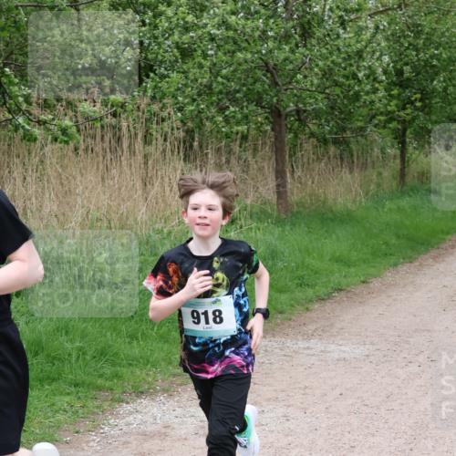 04.05.2025 - 8. Wedeler Halbmarathon Lena Gebhardt http://msf.ph/oto/7831913 04.05.2025 11:18:54 Laufen 918 meine-sportfotos.de