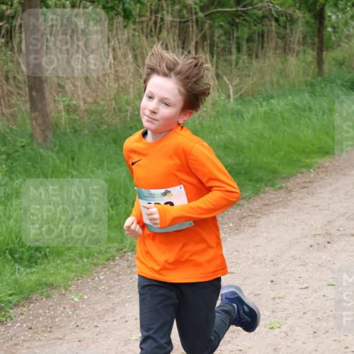 04.05.2025 - 8. Wedeler Halbmarathon Lena Gebhardt http://msf.ph/oto/7831957 04.05.2025 11:19:01 Laufen  meine-sportfotos.de
