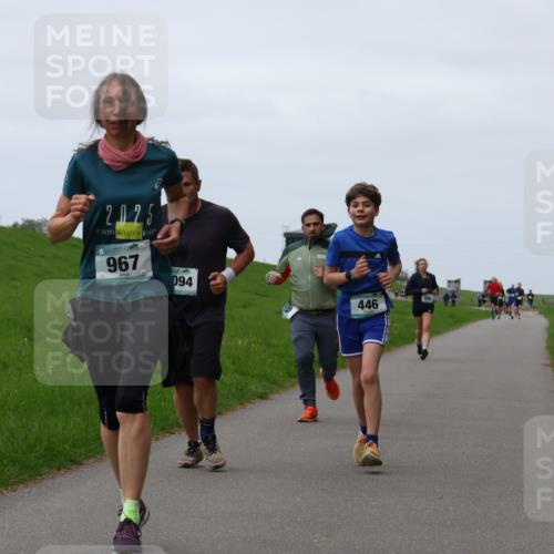 04.05.2025 - 8. Wedeler Halbmarathon Yannick Fuchs http://msf.ph/oto/7832057 04.05.2025 11:20:49 Laufen 2025, 967, 094, 446 meine-sportfotos.de