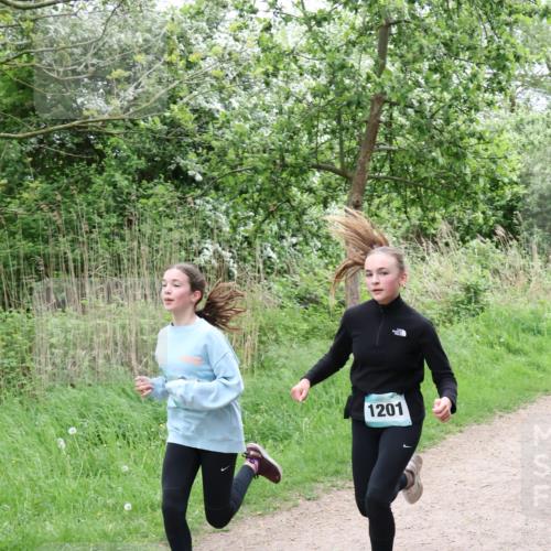 04.05.2025 - 8. Wedeler Halbmarathon Lena Gebhardt http://msf.ph/oto/7832099 04.05.2025 11:19:19 Laufen 1201 meine-sportfotos.de