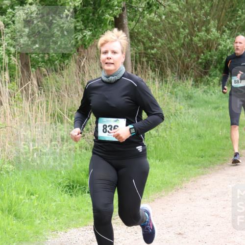 04.05.2025 - 8. Wedeler Halbmarathon Lena Gebhardt http://msf.ph/oto/7832152 04.05.2025 11:19:32 Laufen 83, 887 meine-sportfotos.de