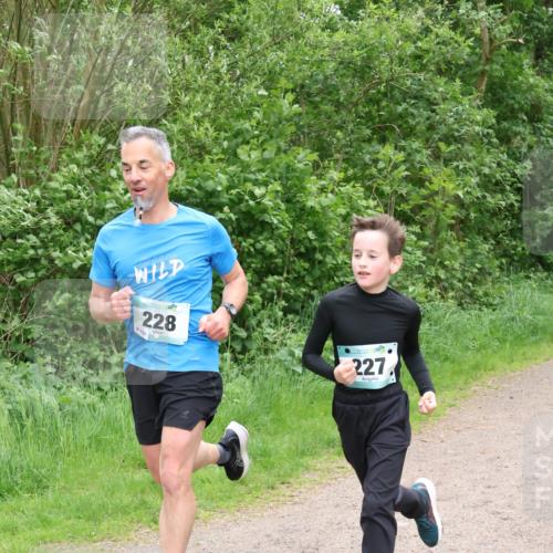 04.05.2025 - 8. Wedeler Halbmarathon Lena Gebhardt http://msf.ph/oto/7832341 04.05.2025 11:19:50 Laufen 228, 8154, 227 meine-sportfotos.de