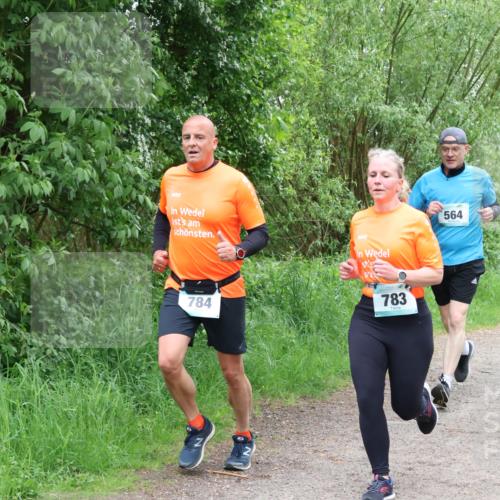 04.05.2025 - 8. Wedeler Halbmarathon Lena Gebhardt http://msf.ph/oto/7832458 04.05.2025 11:20:03 Laufen 784, 783, 564 meine-sportfotos.de