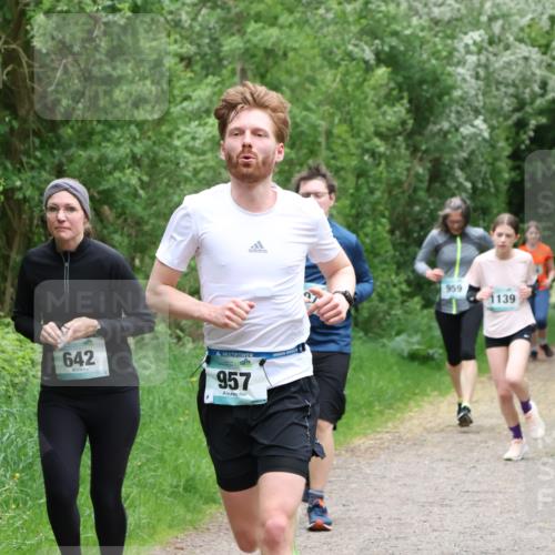 04.05.2025 - 8. Wedeler Halbmarathon Lena Gebhardt http://msf.ph/oto/7832572 04.05.2025 11:20:12 Laufen 642, 957, 959, 1139 meine-sportfotos.de