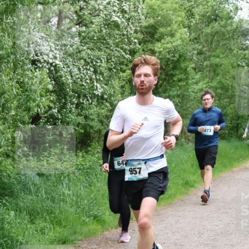 04.05.2025 - 8. Wedeler Halbmarathon Lena Gebhardt http://msf.ph/oto/7832581 04.05.2025 11:20:13 Laufen 64, 957, 973 meine-sportfotos.de