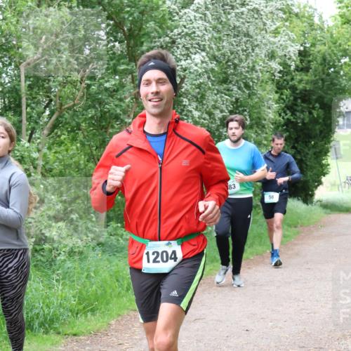 04.05.2025 - 8. Wedeler Halbmarathon Lena Gebhardt http://msf.ph/oto/7832814 04.05.2025 11:20:35 Laufen 1204, 83, 56 meine-sportfotos.de
