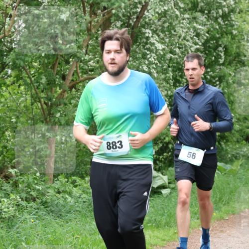 04.05.2025 - 8. Wedeler Halbmarathon Lena Gebhardt http://msf.ph/oto/7832818 04.05.2025 11:20:36 Laufen 883, 56 meine-sportfotos.de