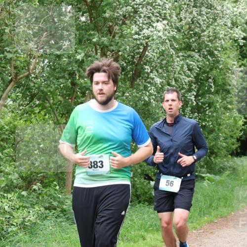 04.05.2025 - 8. Wedeler Halbmarathon Lena Gebhardt http://msf.ph/oto/7832835 04.05.2025 11:20:37 Laufen 383, 56 meine-sportfotos.de