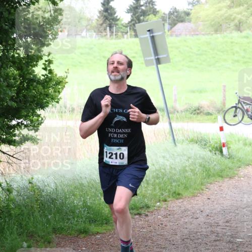 04.05.2025 - 8. Wedeler Halbmarathon Lena Gebhardt http://msf.ph/oto/7832993 04.05.2025 11:20:58 Laufen 1210, 139 meine-sportfotos.de