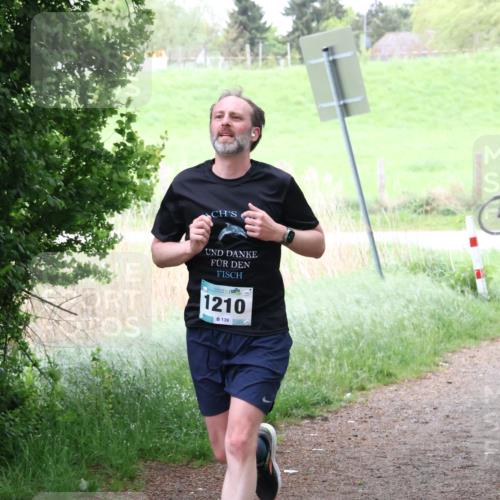 04.05.2025 - 8. Wedeler Halbmarathon Lena Gebhardt http://msf.ph/oto/7833002 04.05.2025 11:20:58 Laufen 1210, 139 meine-sportfotos.de
