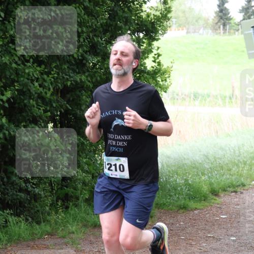 04.05.2025 - 8. Wedeler Halbmarathon Lena Gebhardt http://msf.ph/oto/7833010 04.05.2025 11:20:59 Laufen 210, 139 meine-sportfotos.de