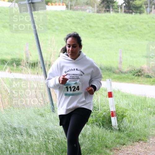 04.05.2025 - 8. Wedeler Halbmarathon Lena Gebhardt http://msf.ph/oto/7833029 04.05.2025 11:21:05 Laufen 1124 meine-sportfotos.de