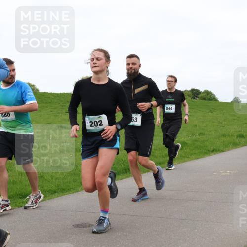 04.05.2025 - 8. Wedeler Halbmarathon Lena Gebhardt http://msf.ph/oto/7835181 04.05.2025 11:26:38 Laufen 130, 886, 202, 844, 53, 1167 meine-sportfotos.de