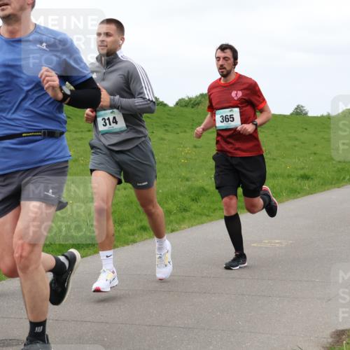 04.05.2025 - 8. Wedeler Halbmarathon Lena Gebhardt http://msf.ph/oto/7836754 04.05.2025 11:31:48 Laufen 314, 365, 425 meine-sportfotos.de