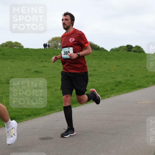 04.05.2025 - 8. Wedeler Halbmarathon Lena Gebhardt http://msf.ph/oto/7836772 04.05.2025 11:31:49 Laufen 314, 365 meine-sportfotos.de