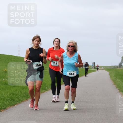 04.05.2025 - 8. Wedeler Halbmarathon Yannick Fuchs http://msf.ph/oto/7837576 04.05.2025 12:01:01 Laufen 250, 102, 444 meine-sportfotos.de