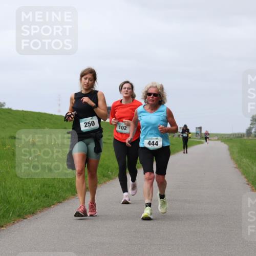 04.05.2025 - 8. Wedeler Halbmarathon Yannick Fuchs http://msf.ph/oto/7837588 04.05.2025 12:01:01 Laufen 250, 102, 444 meine-sportfotos.de