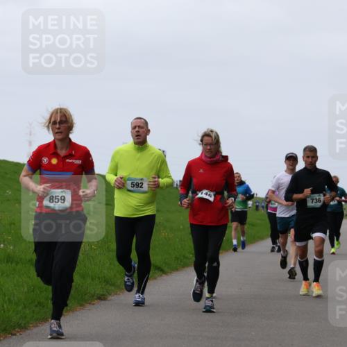 04.05.2025 - 8. Wedeler Halbmarathon Yannick Fuchs http://msf.ph/oto/7837700 04.05.2025 11:24:53 Laufen 859, 592, 736, 146 meine-sportfotos.de