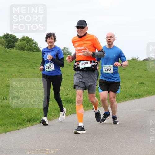 04.05.2025 - 8. Wedeler Halbmarathon Lena Gebhardt http://msf.ph/oto/7837897 04.05.2025 11:35:46 Laufen 295, 808, 320, 576 meine-sportfotos.de