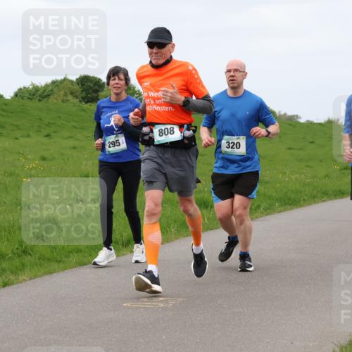 04.05.2025 - 8. Wedeler Halbmarathon Lena Gebhardt http://msf.ph/oto/7837905 04.05.2025 11:35:47 Laufen 295, 808, 320, 576 meine-sportfotos.de