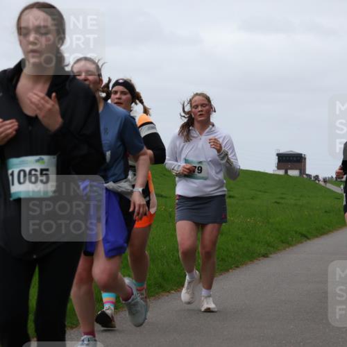 04.05.2025 - 8. Wedeler Halbmarathon Yannick Fuchs http://msf.ph/oto/7839704 04.05.2025 11:25:59 Laufen 1065, 79, 817 meine-sportfotos.de