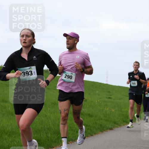 04.05.2025 - 8. Wedeler Halbmarathon Yannick Fuchs http://msf.ph/oto/7840021 04.05.2025 11:26:41 Laufen 393, 6, 290, 265, 870, 949, 87 meine-sportfotos.de