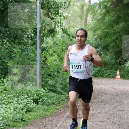 04.05.2025 - 8. Wedeler Halbmarathon Lena Gebhardt http://msf.ph/oto/7842670 04.05.2025 11:13:50 Laufen  meine-sportfotos.de
