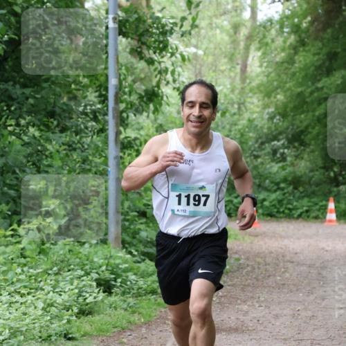 04.05.2025 - 8. Wedeler Halbmarathon Lena Gebhardt http://msf.ph/oto/7842671 04.05.2025 11:13:51 Laufen  meine-sportfotos.de
