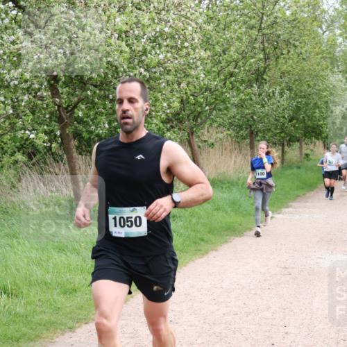 04.05.2025 - 8. Wedeler Halbmarathon Lena Gebhardt http://msf.ph/oto/7842712 04.05.2025 11:18:38 Laufen  meine-sportfotos.de