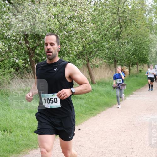 04.05.2025 - 8. Wedeler Halbmarathon Lena Gebhardt http://msf.ph/oto/7842713 04.05.2025 11:18:38 Laufen  meine-sportfotos.de