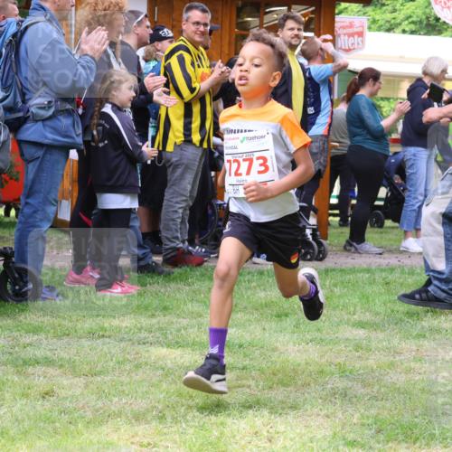 17.05.2025 - Störlauf Strokosch-Dieckow http://msf.ph/oto/7845348 17.05.2025 13:02:10 Laufen 2025, 12731, 125, 2, 03, 1 meine-sportfotos.de