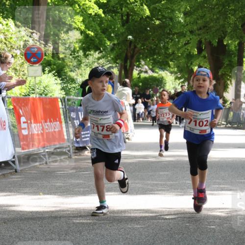 17.05.2025 - Störlauf Strokosch-Dieckow http://msf.ph/oto/7845843 17.05.2025 13:01:22 Ziel 178, 7273, 2025, 102 meine-sportfotos.de
