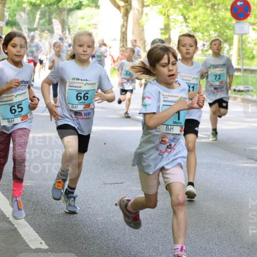17.05.2025 - Störlauf Strokosch-Dieckow http://msf.ph/oto/7845848 17.05.2025 13:31:03 Laufen 2025, 65, 2025, 66, 31, 72, 10 meine-sportfotos.de