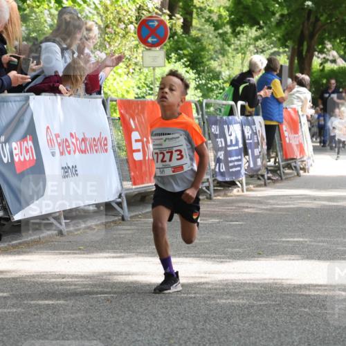 17.05.2025 - Störlauf Strokosch-Dieckow http://msf.ph/oto/7845860 17.05.2025 13:01:26 Ziel 7273, 7047, 069 meine-sportfotos.de