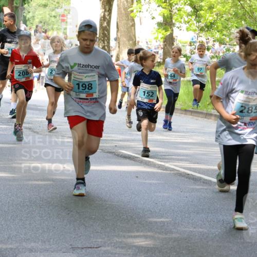 17.05.2025 - Störlauf Strokosch-Dieckow http://msf.ph/oto/7845876 17.05.2025 13:31:09 Laufen 44, 209, 222, 208, 2, 198, 152, 97, 13, 05, 200, 285 meine-sportfotos.de