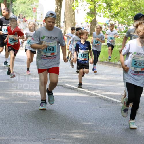 17.05.2025 - Störlauf Strokosch-Dieckow http://msf.ph/oto/7845879 17.05.2025 13:31:09 Laufen 209, 222, 21, 20, 21, 198, 152, 97, 13, 05, 2025, 18, 05, 2025, 285 meine-sportfotos.de