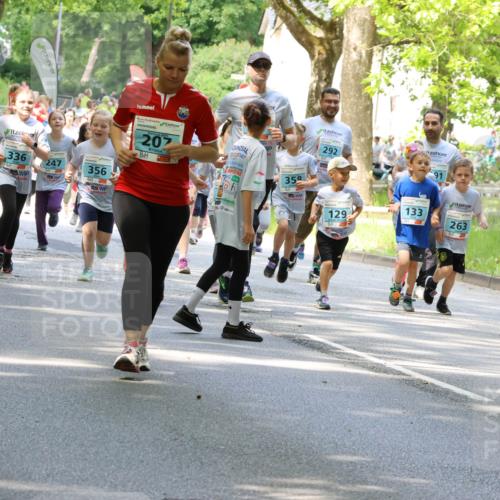 17.05.2025 - Störlauf Strokosch-Dieckow http://msf.ph/oto/7845911 17.05.2025 13:31:19 Laufen 336, 247, 356, 207, 35, 292, 133, 129, 263, 50 meine-sportfotos.de